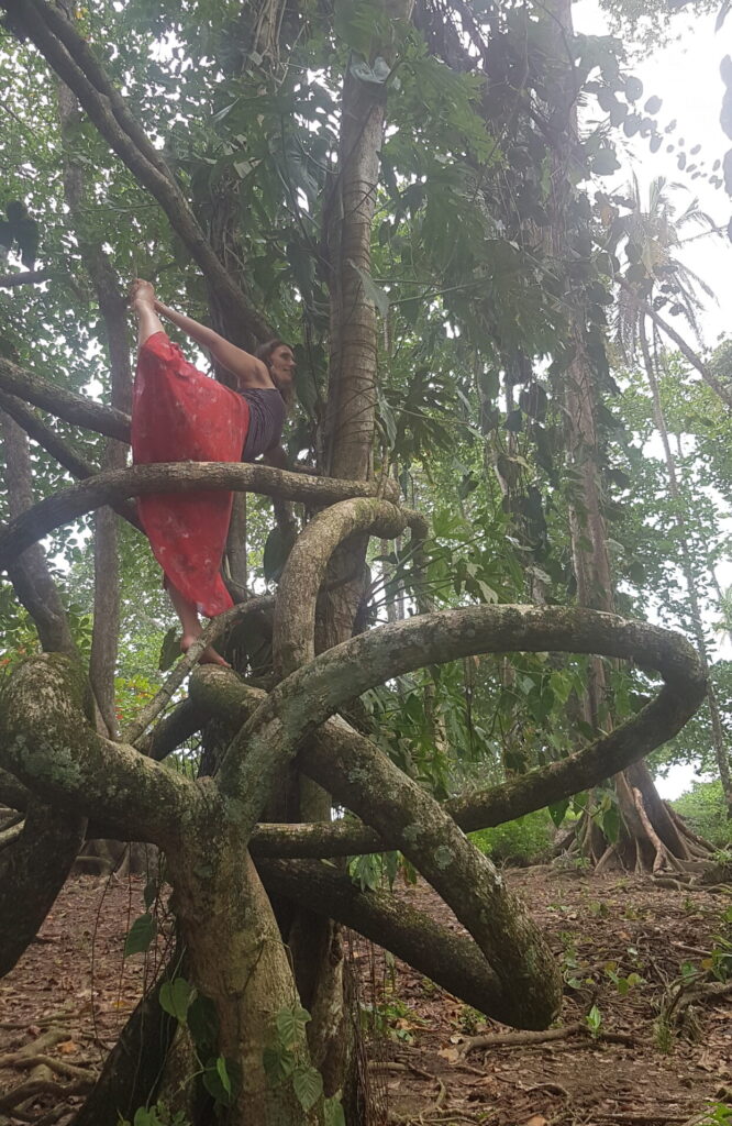 Yoga pose in tree